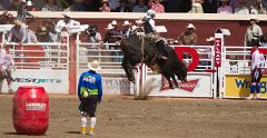 Calgary Stampede-2169